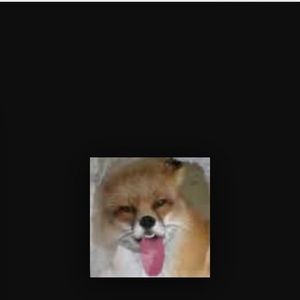 Meet your Posher, Carter